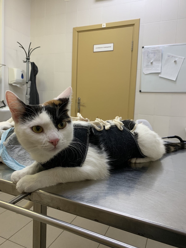 1050116D-2C57-4374-8B86-3A0D98F6E6DB