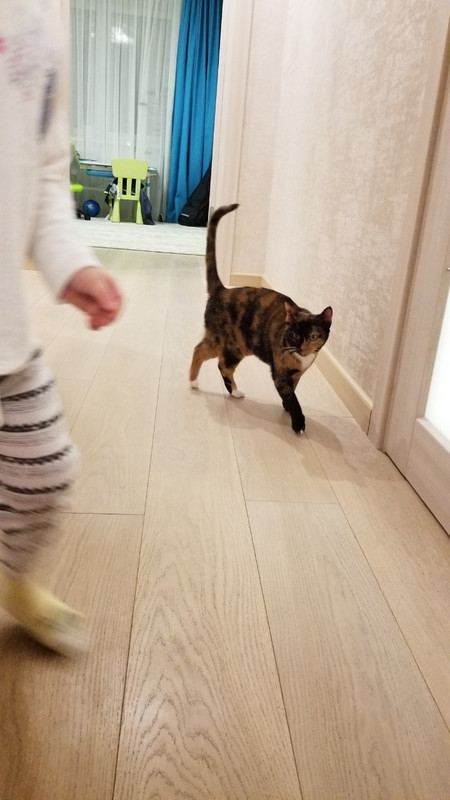 IMG-e7444d89ab3132613855072c5dec55f1-V