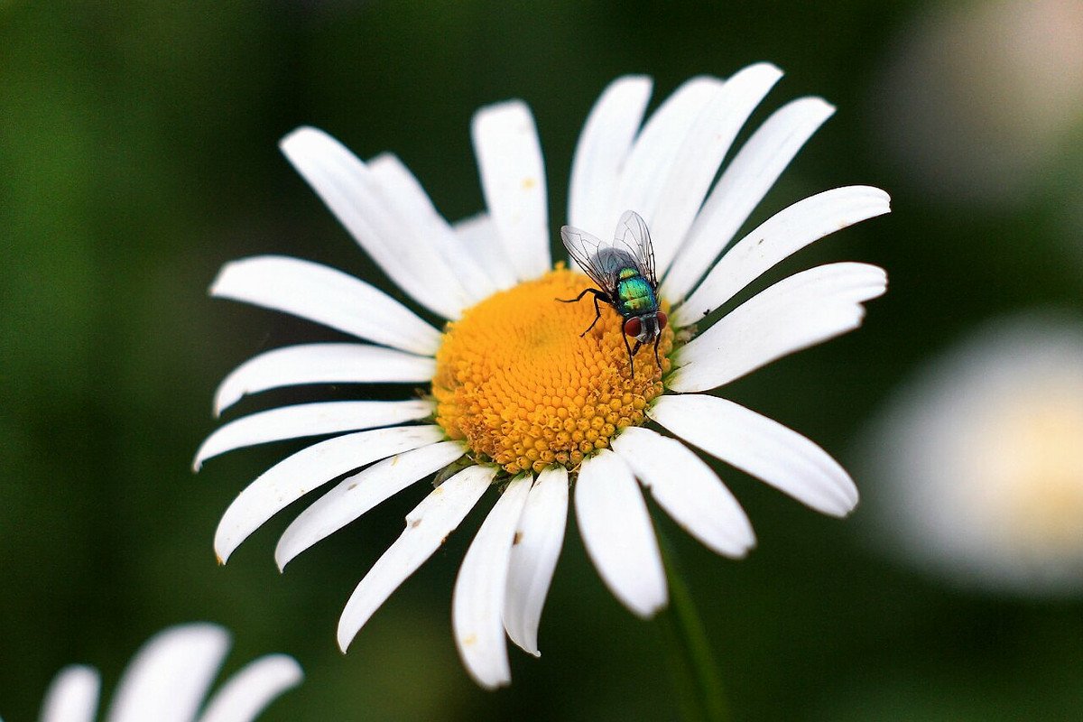 IMG_0068.1280x853.134.3K