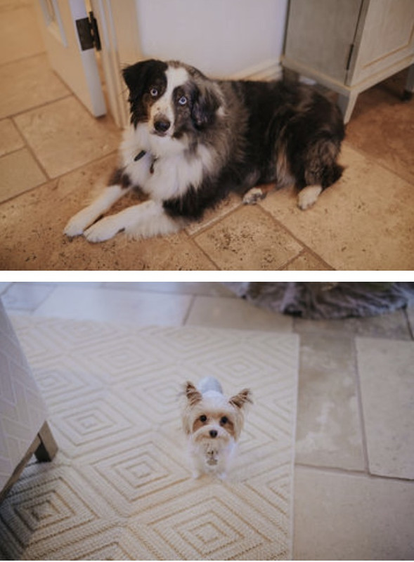 04CA1C63-6224-42DA-BB92-94298528C46C