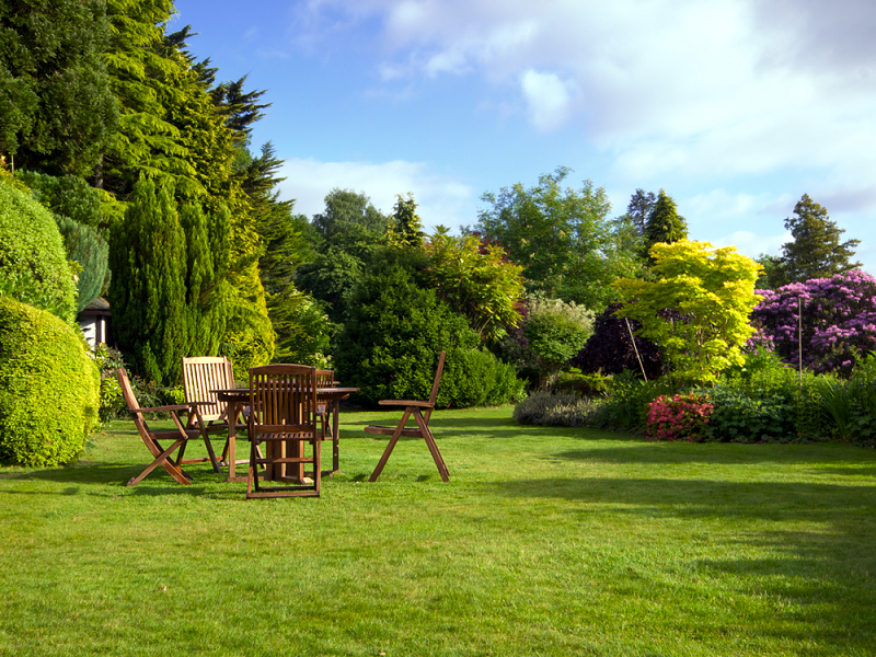 Garden
