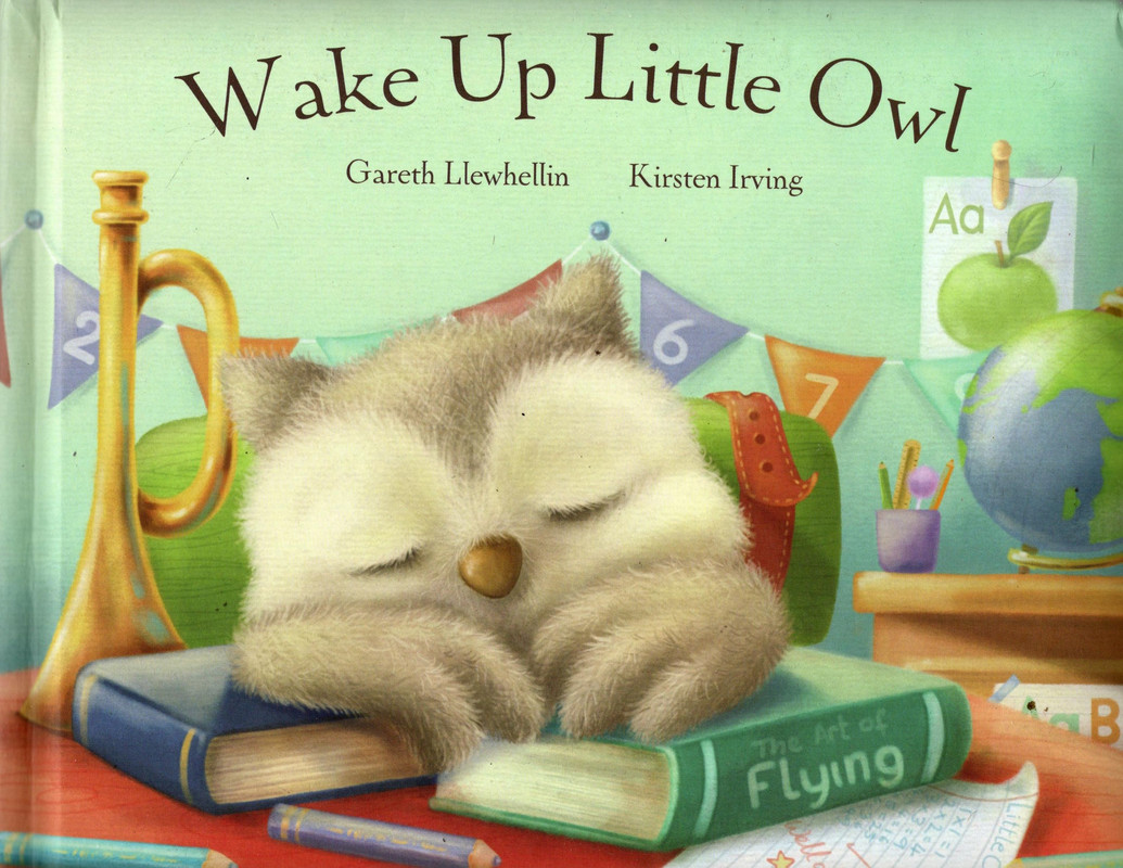 Wake Up Little Owl