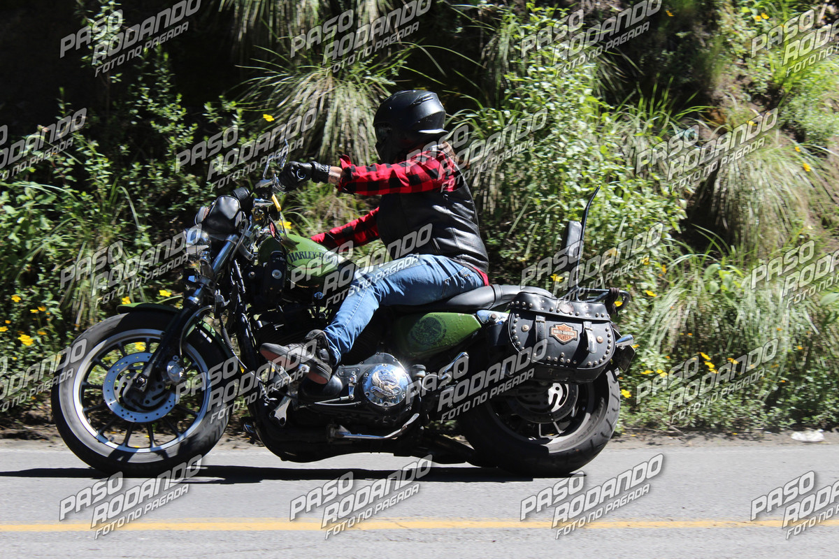 IMG 4510 wm 3424402 3999999994 watermarked — Postimages