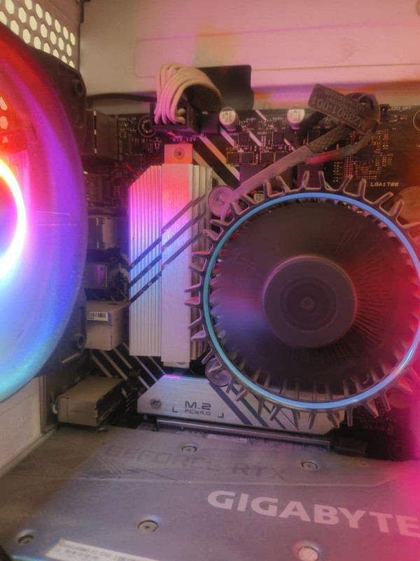 Whats App Image 2026 02 11 at 2 18 39 PM