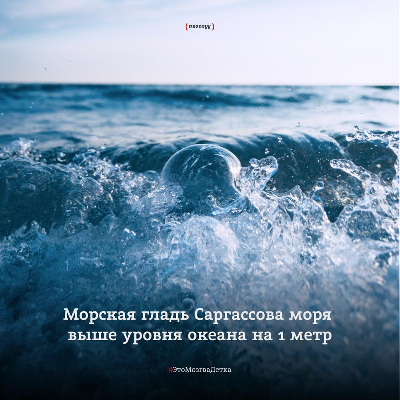 https://i.postimg.cc/cC9FqsLx/photo-2025-04-04-00-48-16.jpg