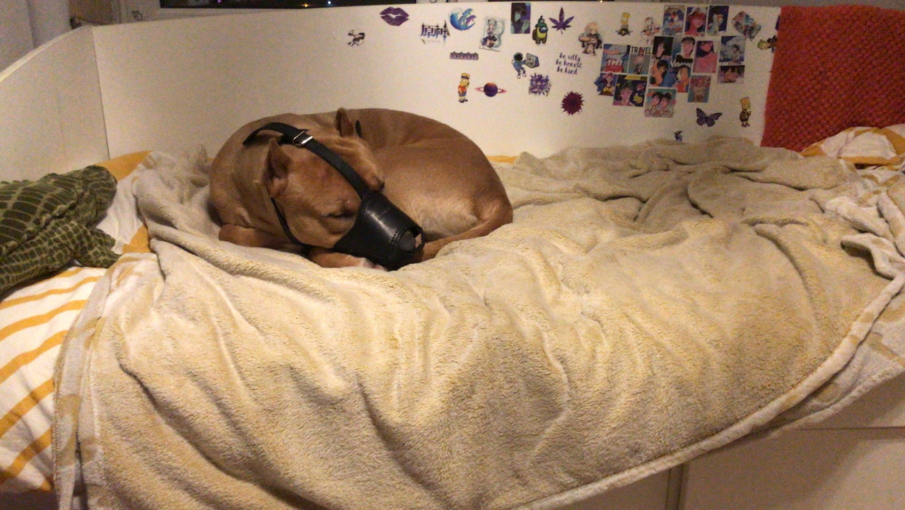 5554B18F-B8D1-4287-807A-3D051550C390