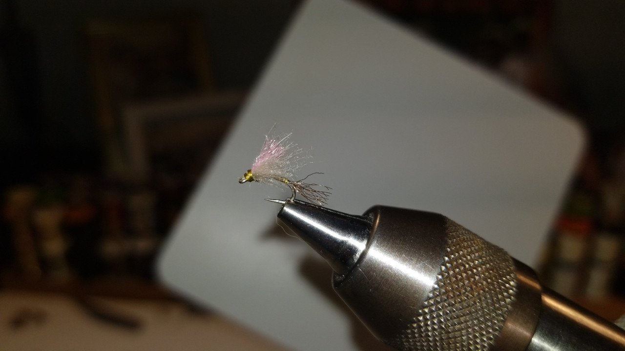 AntoniosMidgeEmerger