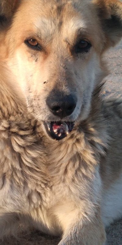 F4D38ABF-257F-46A7-8239-847BF6BC019C