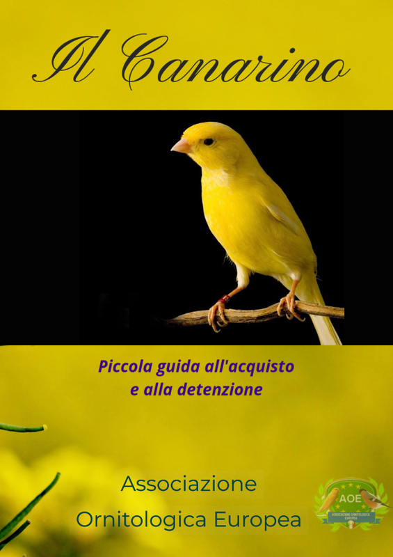 Il mio post (47)_001