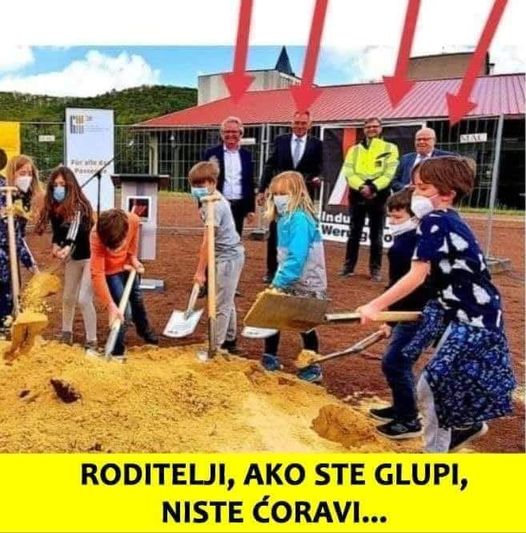 glupi-star-i-n