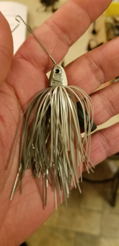 20190115-211252.jpg
