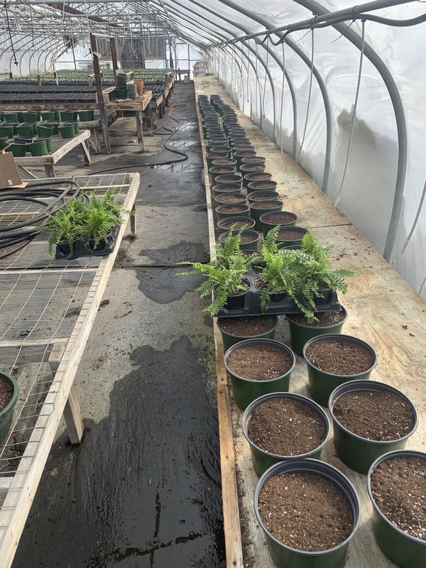 E056D451-4915-4E54-B6C7-CDC6A6869E7F