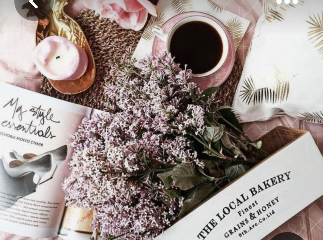 Screenshot_20230310_000046_Pinterest