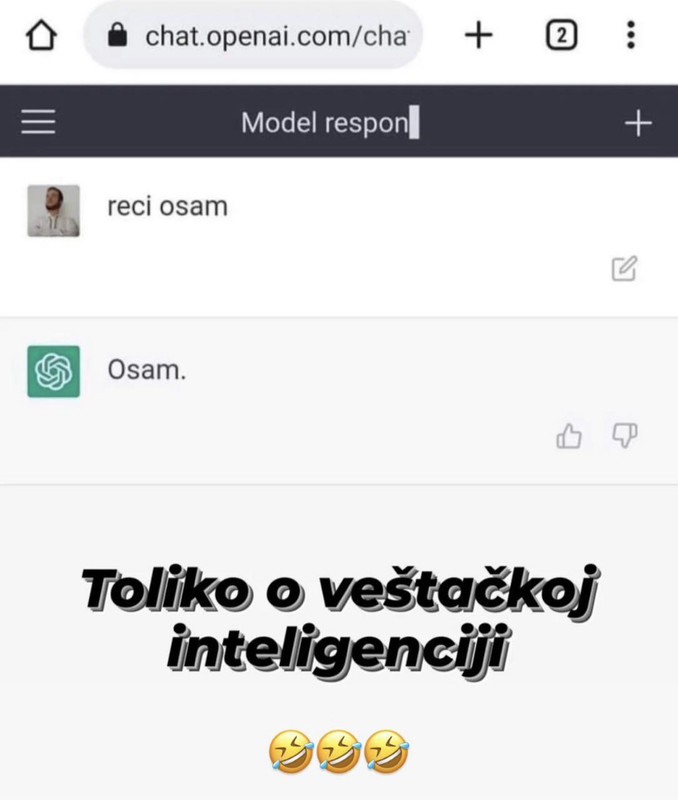 vj-int.jpg