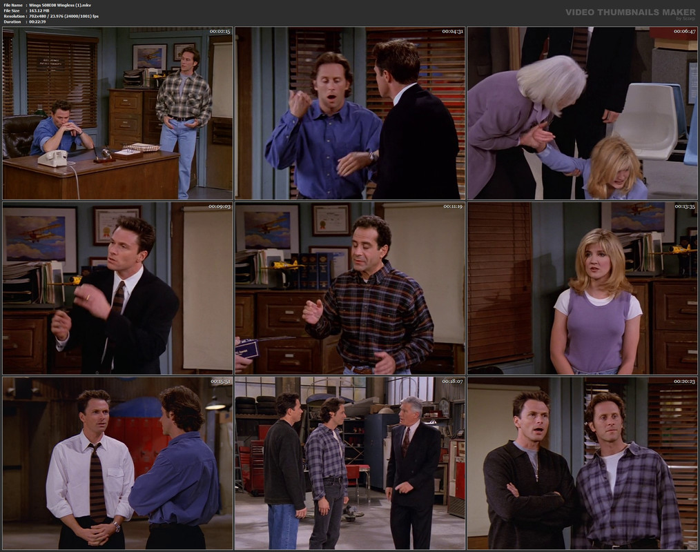 Wings S08E08 Wingless (1).mkv
