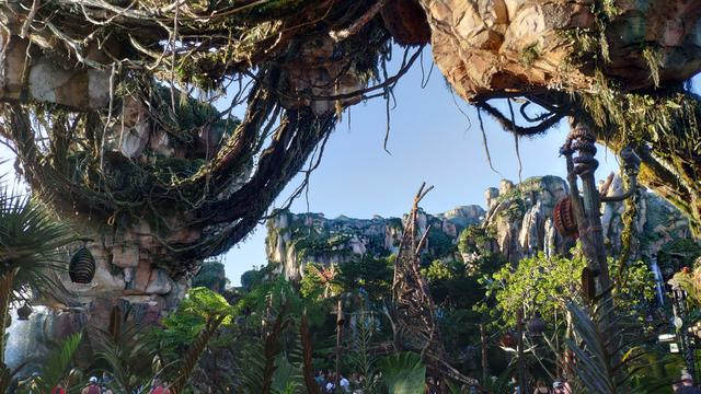El secreto mejor guardado. Walt Disney World - Orlando octubre 2019 - Blogs de USA - Animal Kingdom y cumple de Carlos (5)