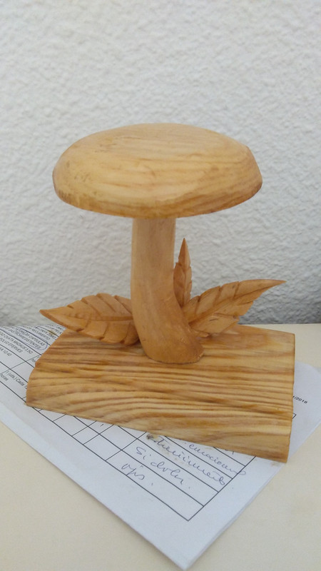 afrancisco ferrer gnomo malaga (2)