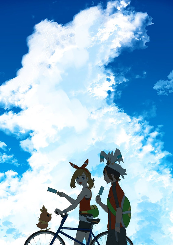 may-brendan-torchic-and-wingull-pokemon-