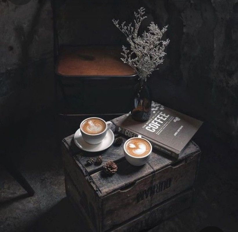 Screenshot_20240425_235854_Pinterest