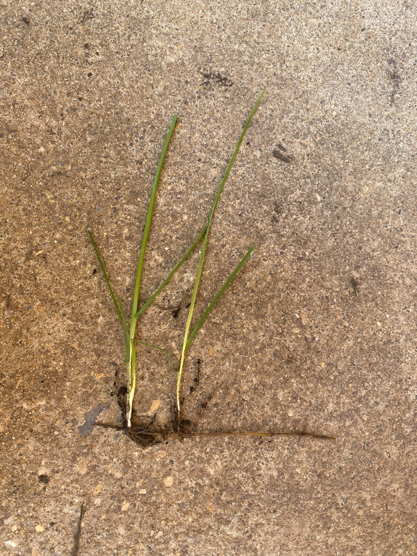 123F53B4-FC88-4CB8-8FB3-3E62832968E7