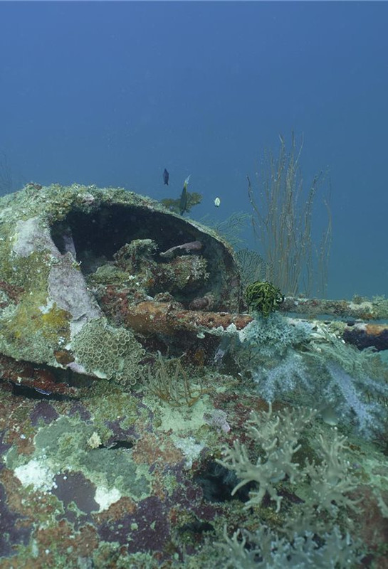 Torreta de un B-25 cubierta de coral