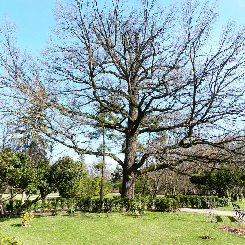 IMG_20170406_012747_654