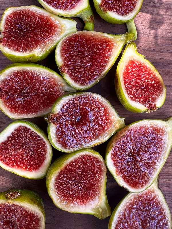 figs-142.jpg