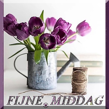 37.jpg border=