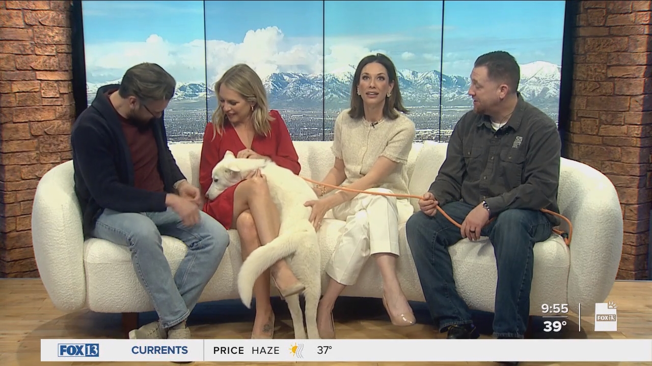 04.04 - 16.00.00 - FOX13 News  Good Day Utah 9AM  ᴺᵉʷ. Utah news, wea....ts_snapshot_00.57.03.141