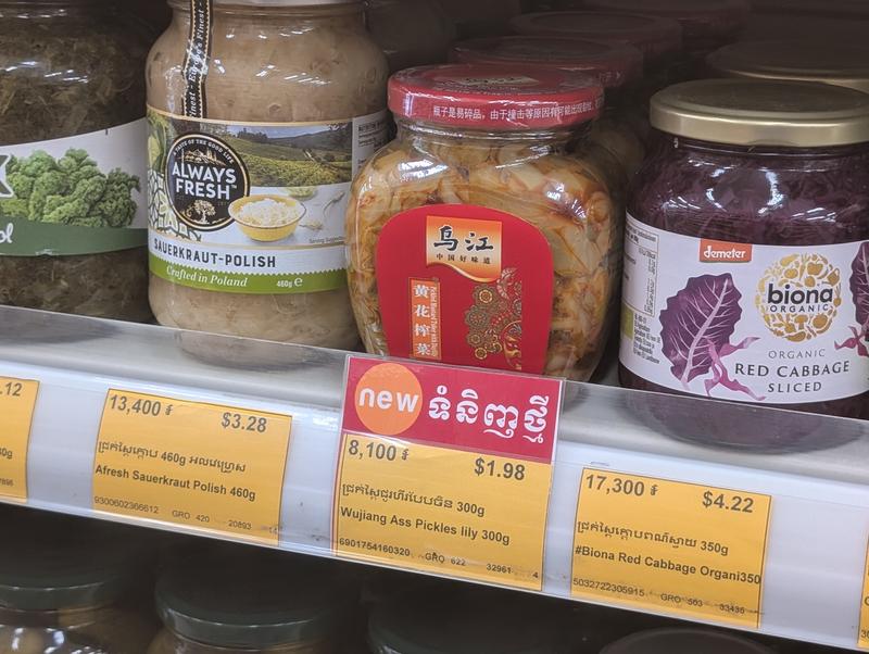 PXL 20260216 022446170