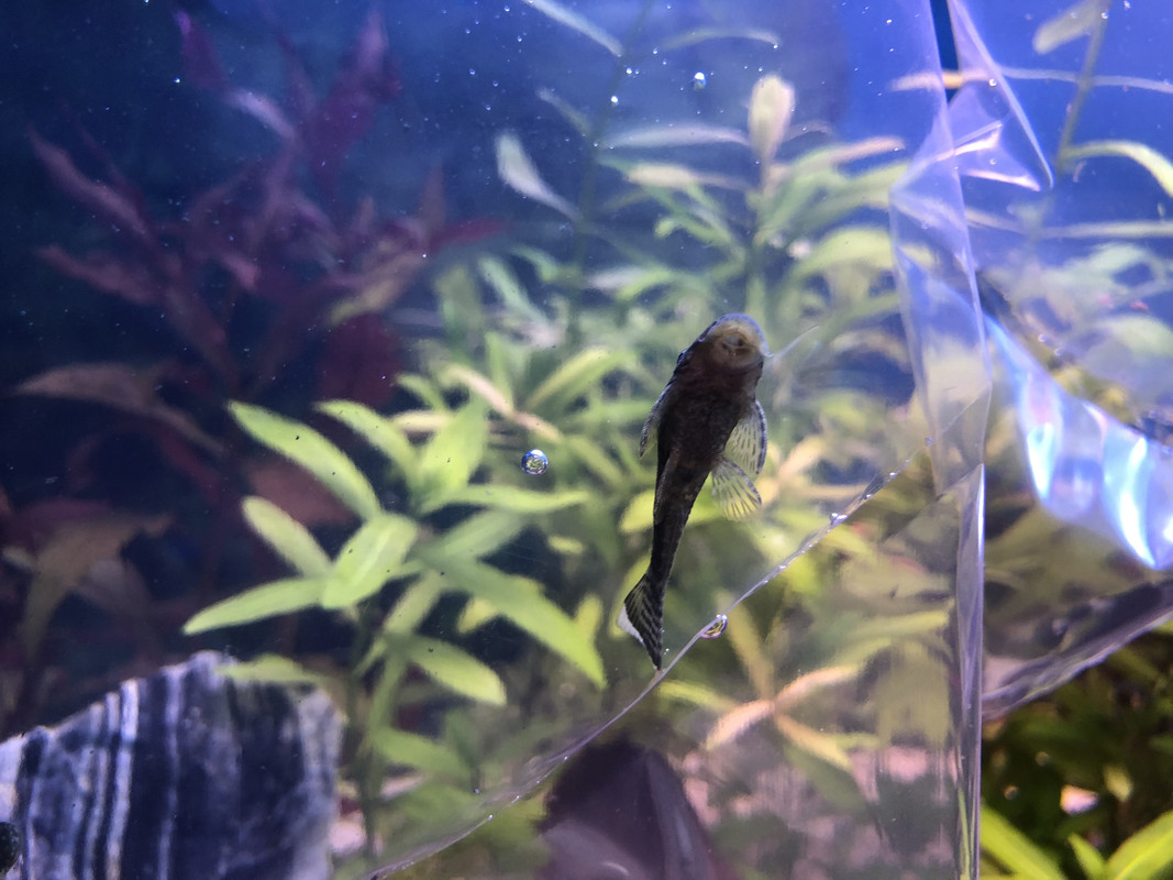 6C44B0CB-BCFD-4E93-A13E-05D6B2E5E74C