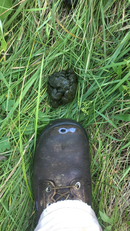 65B828AA-0C6F-476C-92E9-1E0FDB2DEEC8