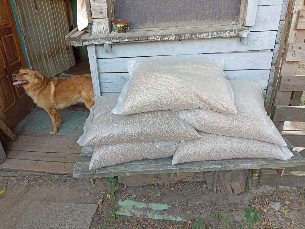 ������ ������ ��� ��������