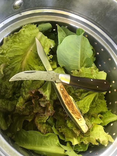 0152-FFFD-4-A53-4-A88-8326-935-D6702-D7-F1.jpgSee