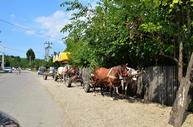 Buzao-5-8-2015 - Rumanía y sus pueblos-2015 (7)