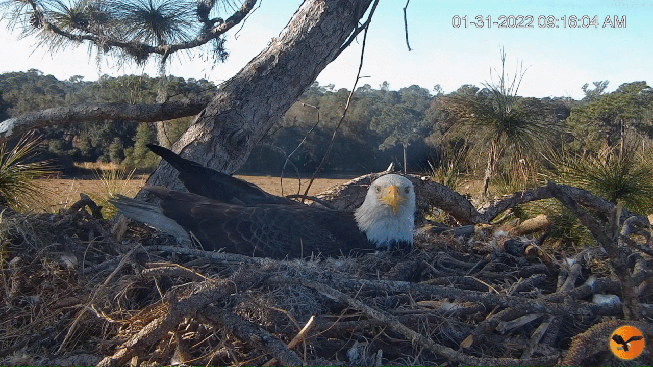 Webp.net-gifmaker (4)