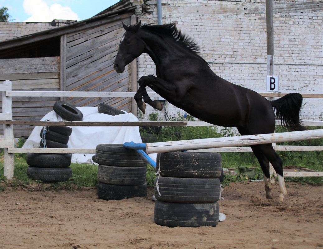 Мириада Новое 2