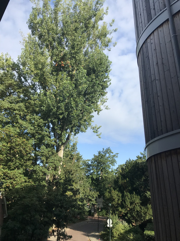 AF5877B1-38BB-4670-A91F-3FBA77D8C716