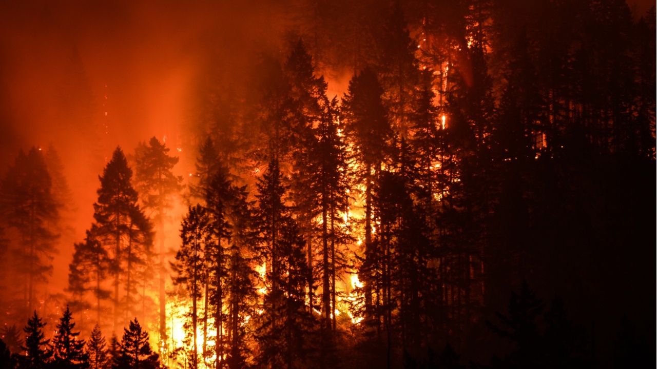 Incendio forestal en California consume 5 mil 780 hectáreas en solo dos días