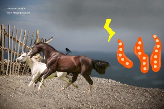 R1T3-Grizzled Prince