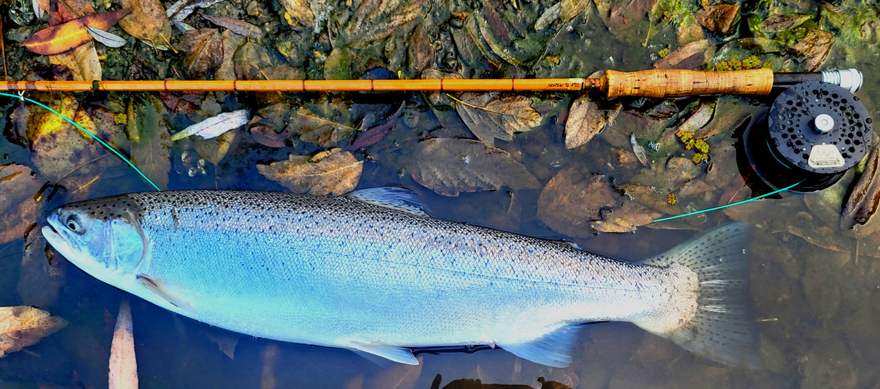 Resized_20231216_084320 (5)