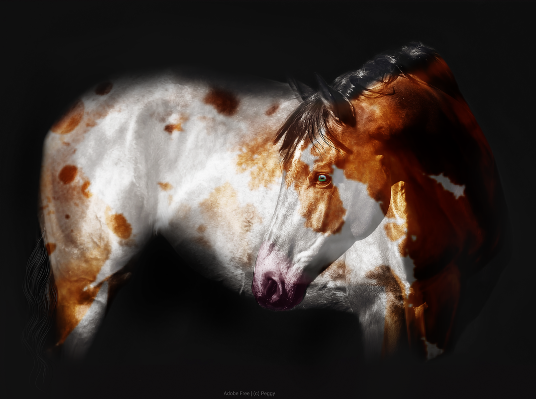 Lot 2 - Copper Bay Appy