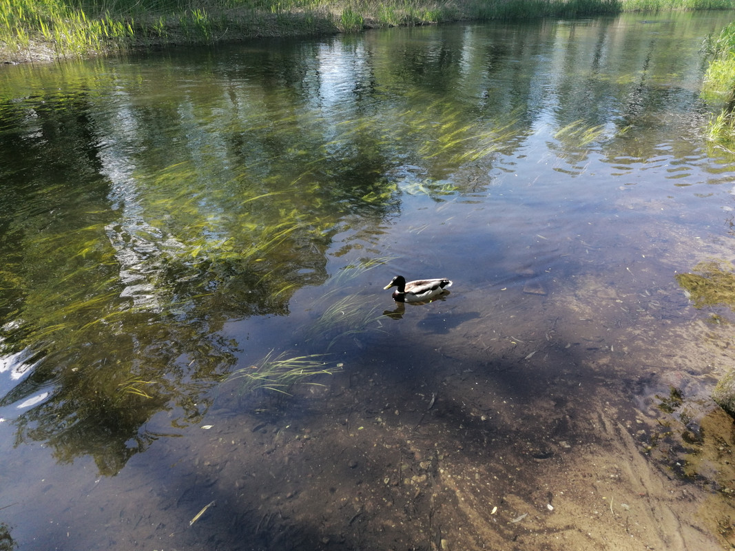 01.01 - IMG_20210530_154231 (Czesio1)