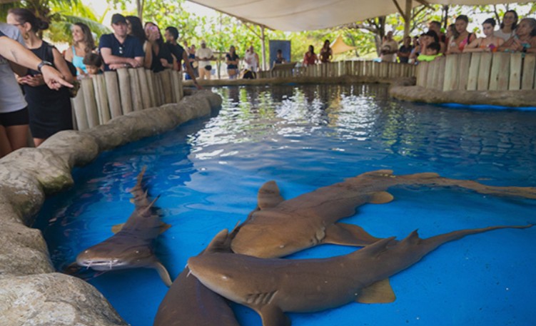 Oceanário de Aracaju
