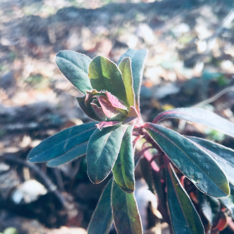 E638CD41-A084-4BA5-B568-196FE0EE1973