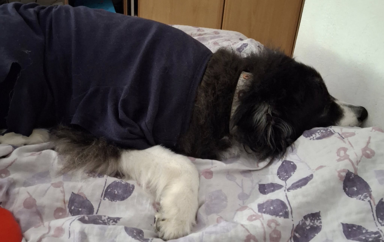 563467290-3082334101941340-2374488327306560260-n