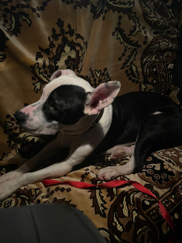 0D873B0E-D05E-4665-BFED-CE1474F83451