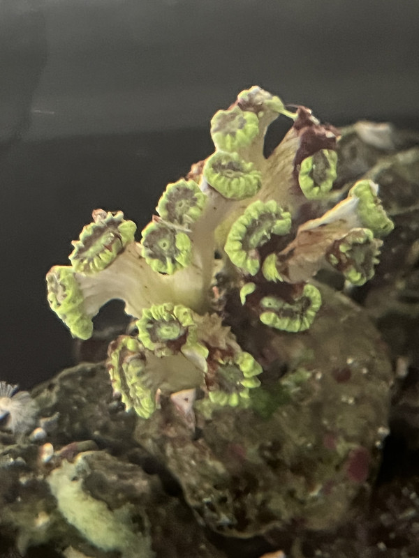 16A802D6-2BED-4B6E-87BD-C8B0DE5BD8DD