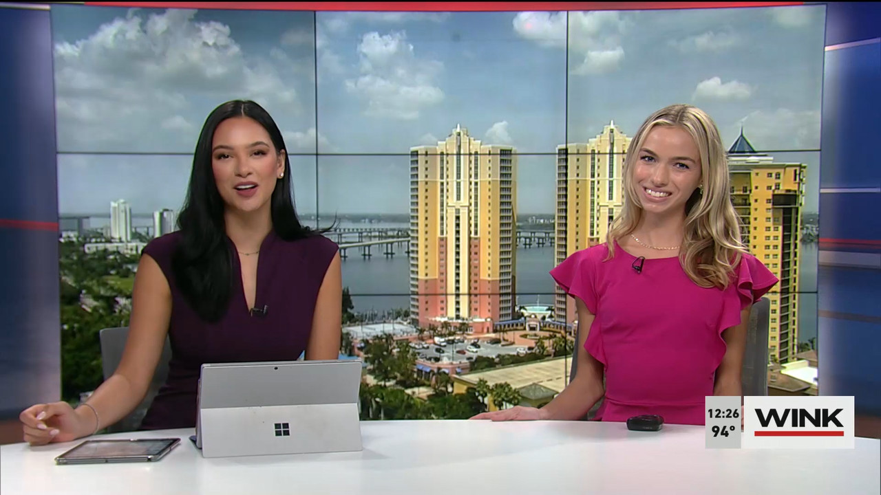 07.25 - 17.00.00 - The WINK Noon News. Midday news update..ts_snapshot_33.22.090