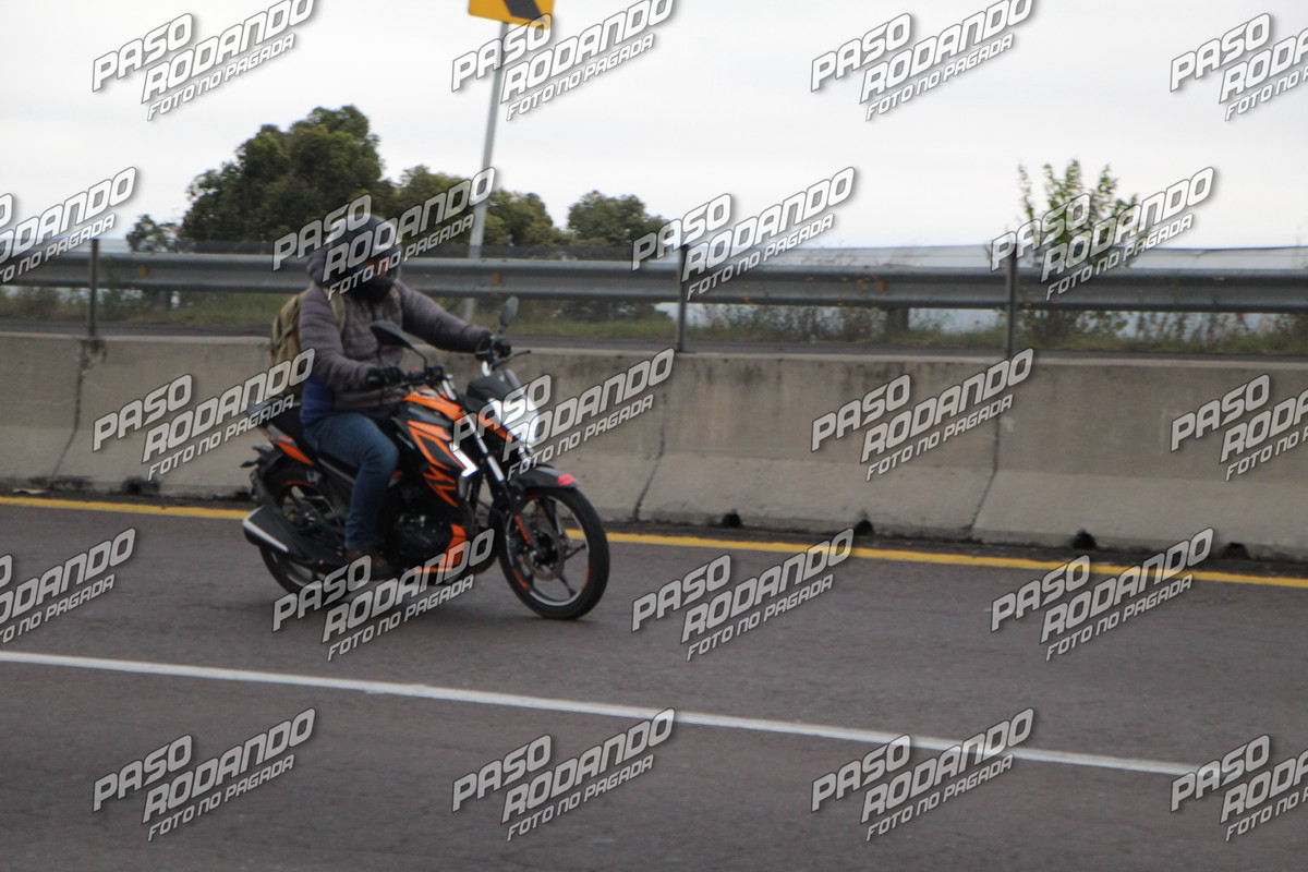 IMG 0375 wm 582515 8 watermarked — Postimages
